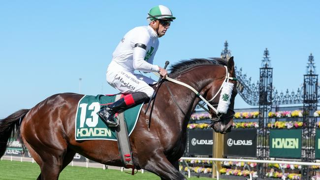 Savour The Dream before the Australian Guineas where his finished 12th. Picture: George Sal/Racing Photos via Getty Images