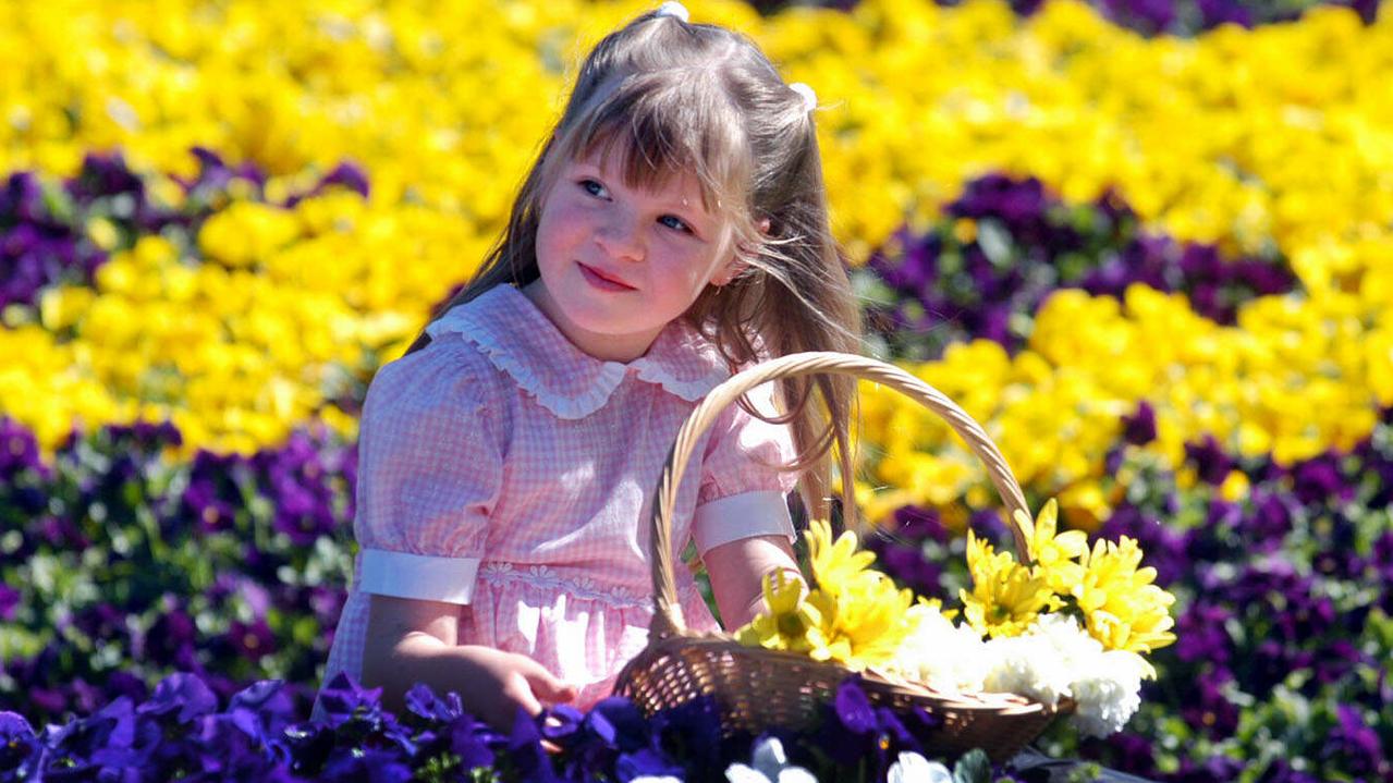 Carnival of Flowers Toowoomba – Jordan Baker, 6, among the floral display at Laurel Bank Park. Picture: David Martinelli.