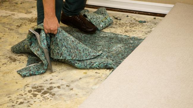 Wet carpet equals bad smells and mould, so it needs to go.