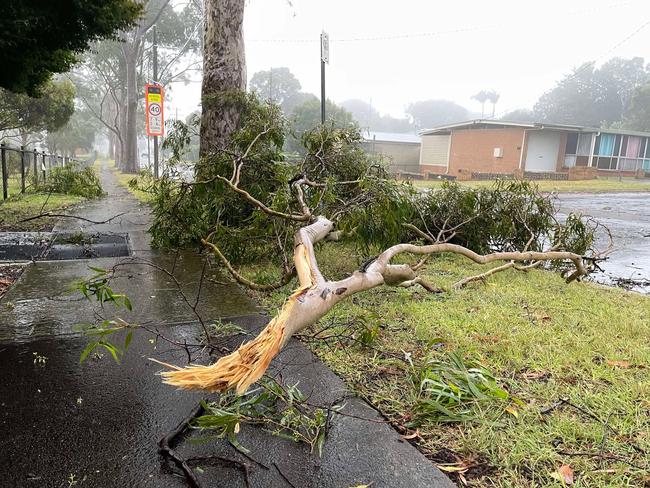 Trees are down across Toowoomba as massive gusts hit Toowoomba.