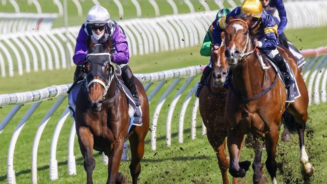 Fastconi (left) was strong late when second last start and will be charging home again. Picture: Getty Images