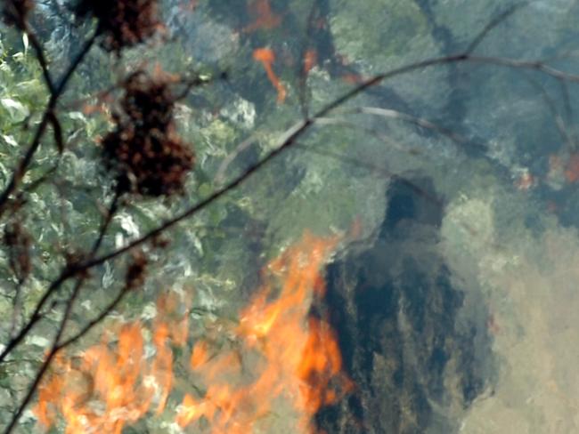 Launching of the second largest Indigenous Protected Area at Lajamanu, Rangers burning off scrub