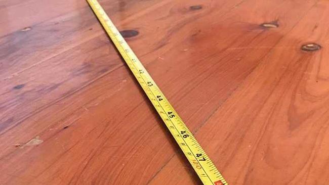 How long is four feet? This long.