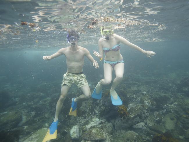 A couple snorkelling at Clovelly Bay in Sydney.