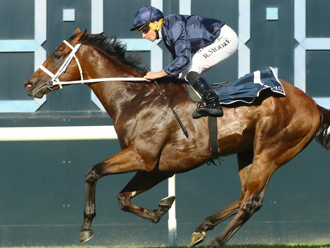 SYDNEY, AUSTRALIA - MARCH 18: Ryan Moore riding Shinzo wins Race 8 The Golden Slipper during the Longines Golden Slipper Day - Sydney Racing at Rosehill Gardens on March 18, 2023 in Sydney, Australia. (Photo by Jeremy Ng/Getty Images)