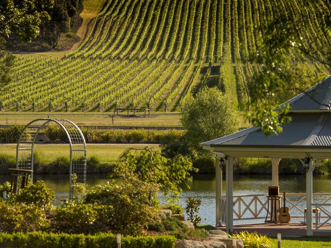 The picturesque Josef Chromy Vineyard.