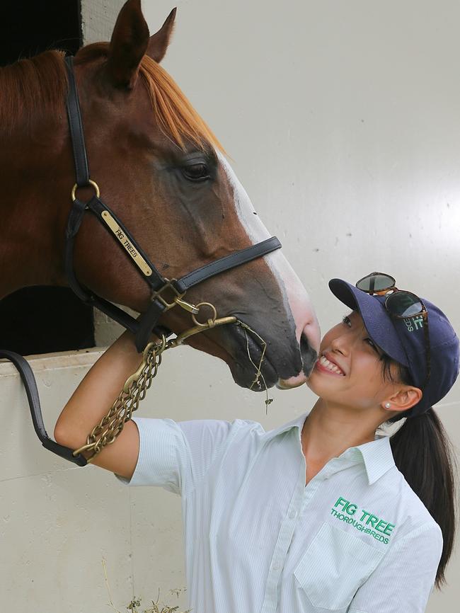 This Snitzel colt, pictured here with Fig Tree Thoroughbred handler Satsuki Kanda, is expected to be among the most keenly sought after yearlings at the Magic Millions sale next month. Picture: Glenn Hampson