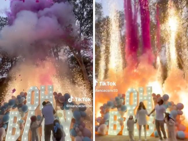 A couple has gone viral on TikTok after posting a video of their gender reveal party, which involved sending explosive sparks into the air near several flammable trees. Picture: TikTok