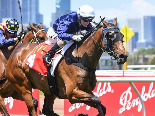 The Map, ridden by Jamie Melham, wins The Macca's Run at Flemington in 2023. Picture: Pat Scala/Racing Photos via Getty Images