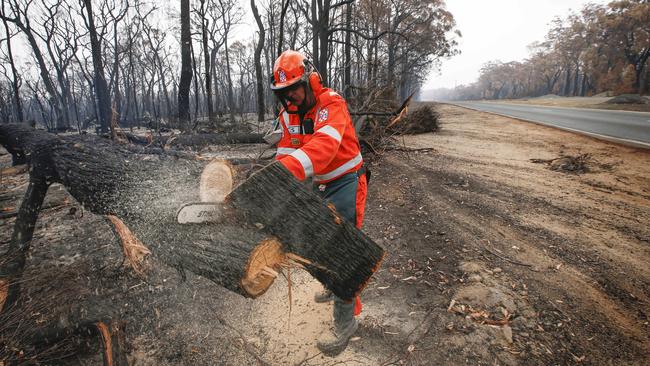 SES volunteer Alex Ziolkowski cuts up fallen trees on the Genoa-Mallacoota road, the only road out of town. Picture: David Caird