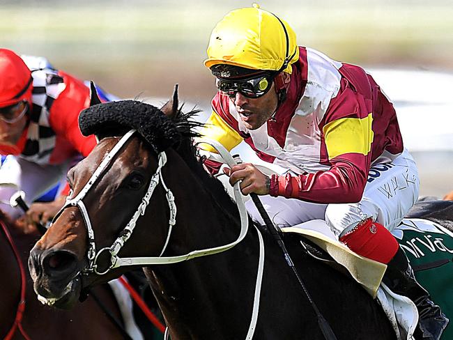 Jockey Michael Walker rides Sambro (centre) to victory in race 3, the Ascot Green Queensland Guineas, during UBET Stradbroke Day at Doomben Racecourse in Brisbane, Saturday, June 9, 2018. (AAP Image/Albert Perez) NO ARCHIVING, EDITORIAL USE ONLY