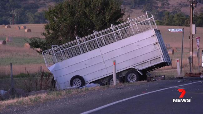 The driver of the Mistubishi, which was carrying a trailer holding camels, died at the scene. Picture: 7NEWS