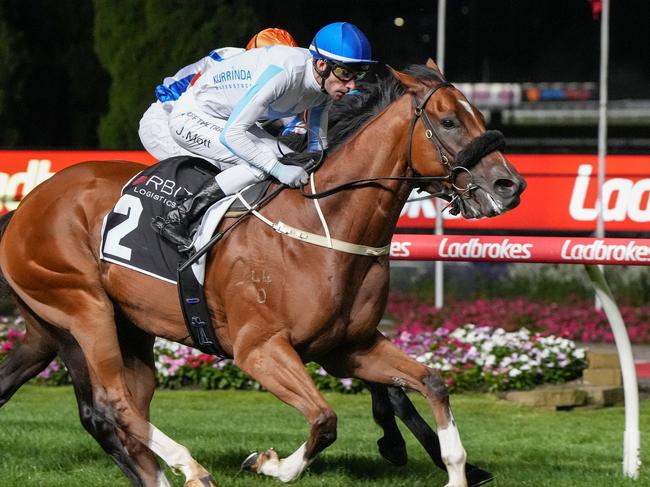 Boston Rocks ridden by Jamie Mott wins the The Orbit Logistics Valley Summer Sprint Series Final at Moonee Valley Racecourse on March 07, 2025 in Moonee Ponds, Australia. (Photo by George Salpigtidis/Racing Photos via Getty Images)