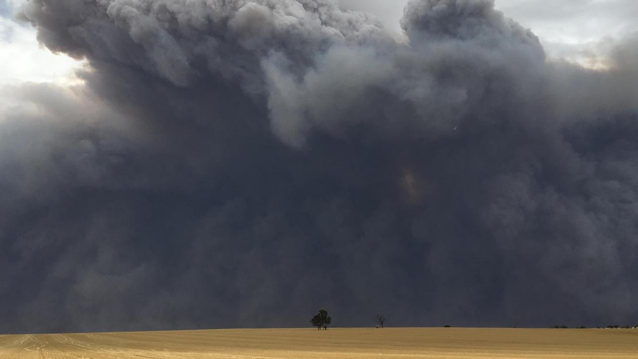 The terrifying view from a Tarlee property as the Pinery Bushfire descended.