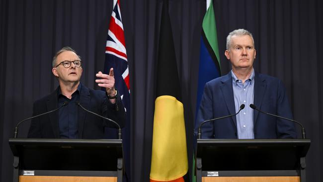 Anthony Albanese and Tony Burke speak to the media during a press conference at Parliament House.