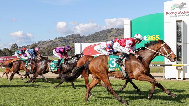 Bet365 said it paid $75m in government and taxes and levies in its 2022 financial year. Picture: George Sal/Racing Photos