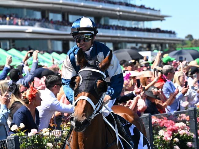 MELBOURNE, AUSTRALIA - NOVEMBER 05: Joao Moreira riding Buckaroo to the start before Race 7, the Lexus Melbourne Cup - Betting Odds during Melbourne Cup Day at Flemington Racecourse on November 05, 2024 in Melbourne, Australia. (Photo by Vince Caligiuri/Getty Images)