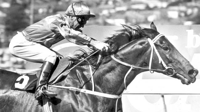 Malcolm Johnston steers Kingston Town to victory in the 1980 Cox Plate.