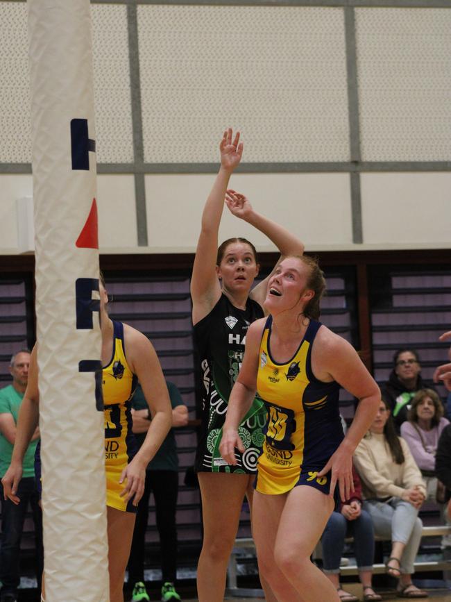 HART Sapphire Series round 1 2024 (Ruby) Darling Downs Panthers v Bond University Bull Sharks Netball