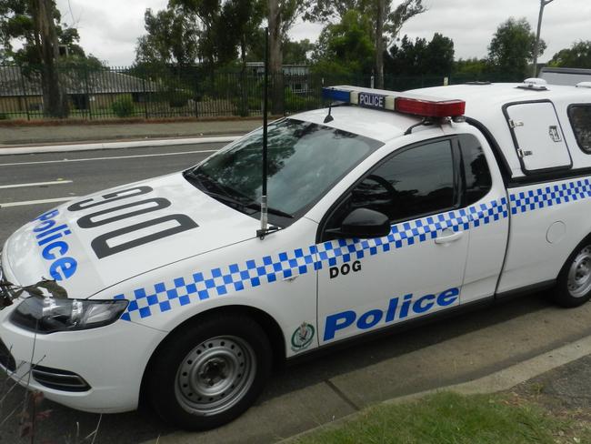 Dog squad police car. Generic.