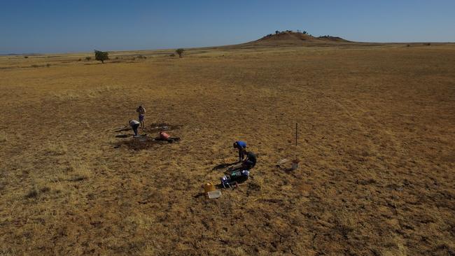 Australian scientists have found new dinosaur remains of a Australovenator wintonensis, was discovered on a private cattle property just outside of central Queensland.