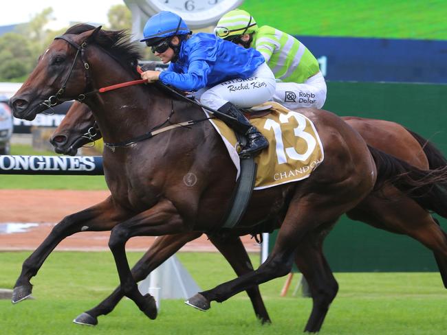 Andermatt can maintain his unbeaten fresh record. Picture: Grant Guy