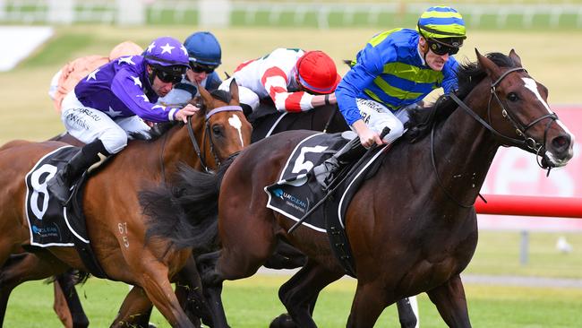 Jockey Mark Zahra rides Southern France to victory in the Zipping Classic. Picture: AAP