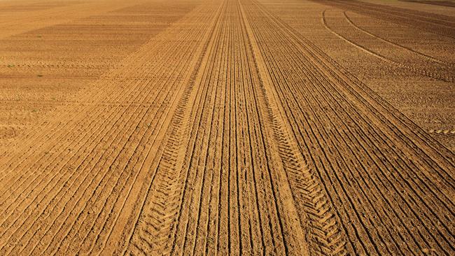 A barley farm in Elmore, Victoria. Picture: Zoe Phillips