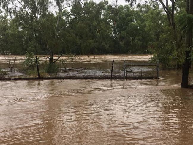 Renae Mills took this photo of Retreat Creek behind the Blue Gem Tourist Park in Sapphire.