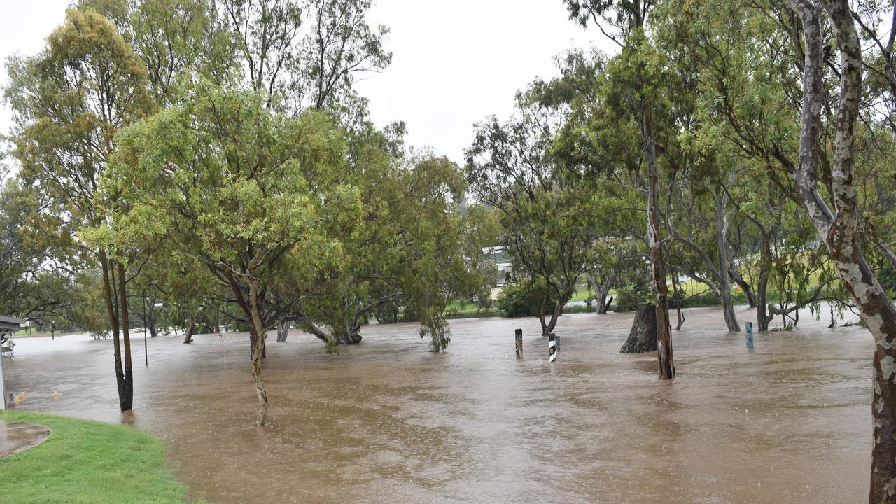 A flooded Condamine River has swallowed the popular riverwalk and dog park surrounding it. Picture Jessica Paul / Warwick Daily News