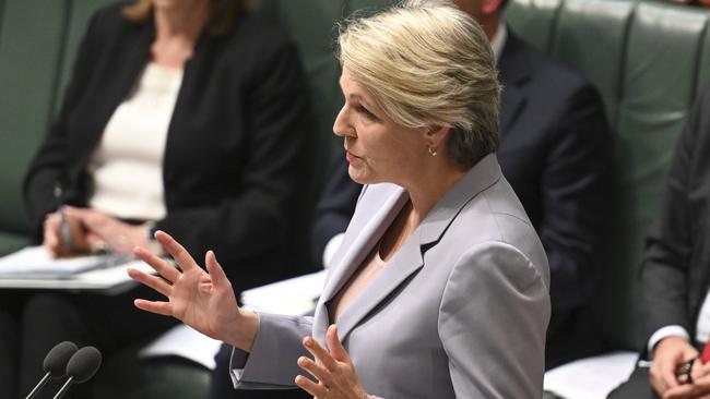 Minister for the Environment and Water Tanya Plibersek. Picture: NewsWire / Martin Ollman