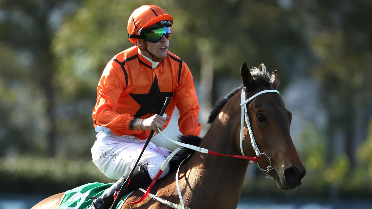 Nick Heywood predicts a big future for unbeaten galloper Mogo Magic. Picture: Jeremy Ng-Getty Images