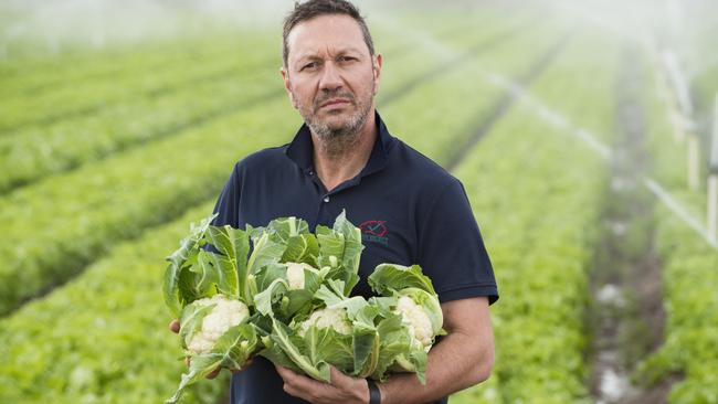 Fresh Select chief executive John Said on his vegetable farm. Exporters are planning well ahead to ensure their crop makes its way to overseas markets this summer. Picture: Zoe Phillips