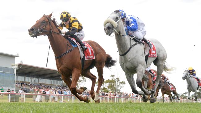 Holymanz (left) outguns Riot And Rose to win the 2025 Coastal Classic at Geelong. Picture: Brett Holburt / Racing Photos