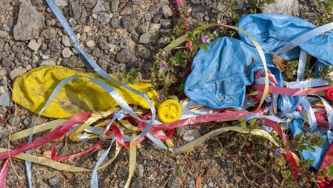 Balloons have been banned from all Council areas in Tweeds Shire Council. Picture: Tweeds Shire Council