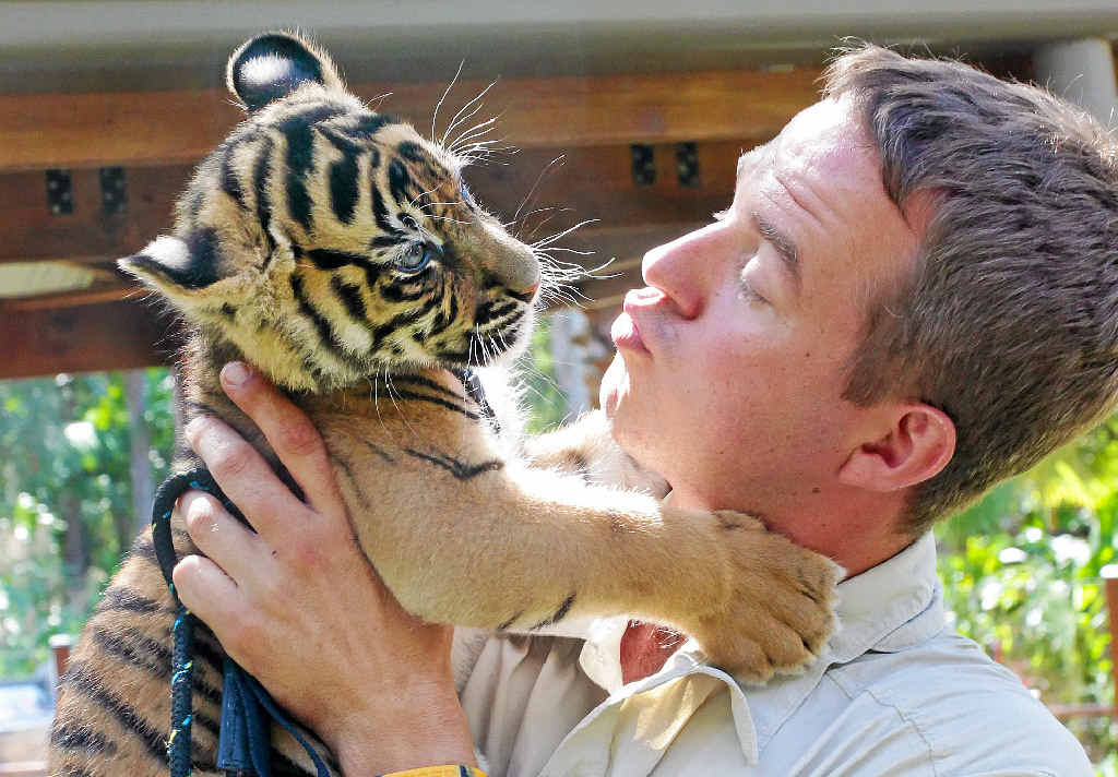 HANDLE WITH CARE: Giles Clark with an Australia Zoo Sumatran tiger cub. Picture: Brett Wortman