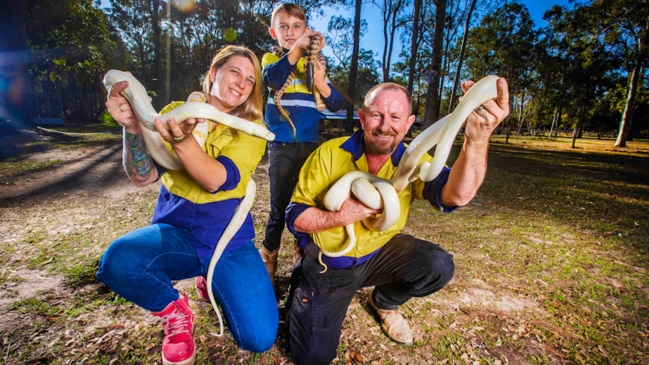 Beware! Snake catchers on alert as Qld heads for horror snake season