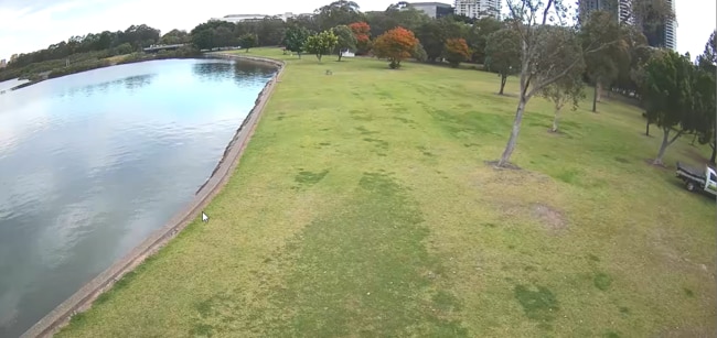 Mcllwaine Park before $8.7 million upgrade.