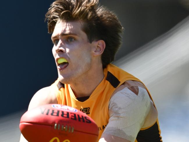 GEELONG, AUSTRALIA - FEBRUARY 17: Will Day of the Hawks handballs during the AFL practice match between Geelong Cats and Hawthorn Hawks at GMHBA Stadium on February 17, 2025 in Geelong, Australia. (Photo by Quinn Rooney/Getty Images)