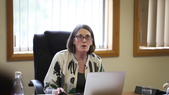 Tasman Mayor Roseanne Heyward during the Tasman Council meeting at Nubeena. Picture: SAM ROSEWARNE.