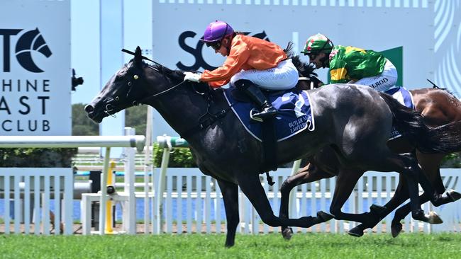 El Morzillo gets the better of favourite Lead Me On to win the QTIS 2YO Handicap at the Sunshine Coast. Picture: Grant Peters/Trackside Photography