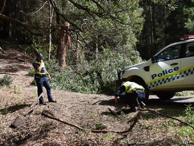 ‘My Stomach dropped’: Resident describes fatal crash scene