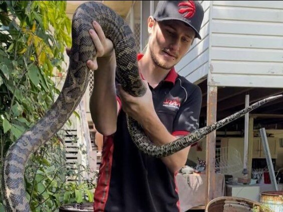 Brisbane-based snake catcher Josh Castle.