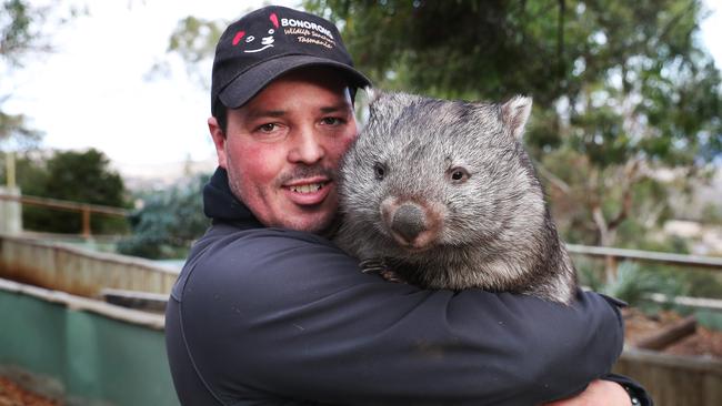 Bonorong Wildlife Sanctuary director Greg Irons, with wombat Millie, says it is “infuriating” to see so many native Tasmanian animals being culled. Picture: NIKKI DAVIS-JONES