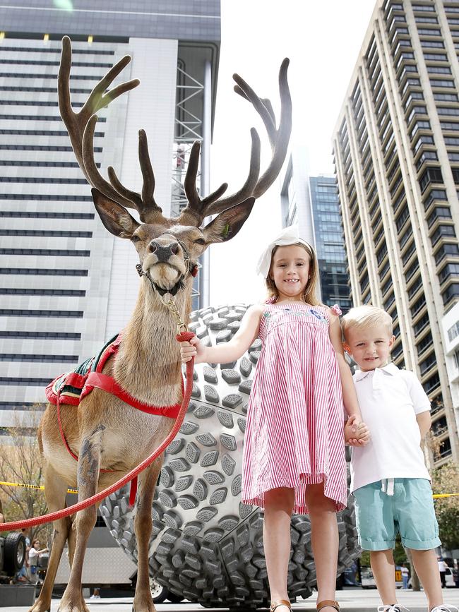 The Red Deer have been part of the Christmas festivities at Reddacliff Place but some hope it won’t be happening this year. Picture: AAP/Josh Woning