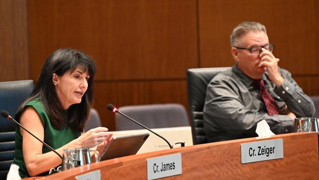 Division 3 councillor Cathy Zeiger and Division 1 councillor Brett Moller at the Council's ordinary meeting on Wednesday, January 25. Picture: Isaac McCarthy