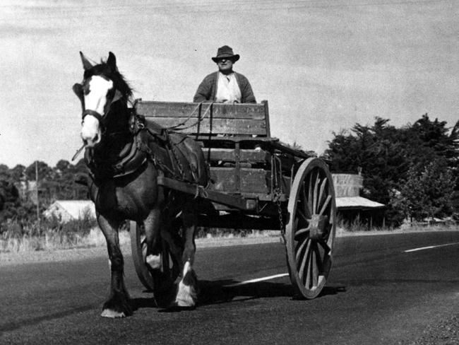 1952. Man with horse and cart.