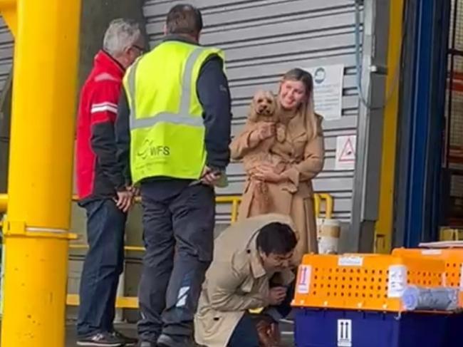 Brittany Higgins and David Sharaz pick up their dog from quarantine in Bordeaux. Picture: Matthieu Rondel