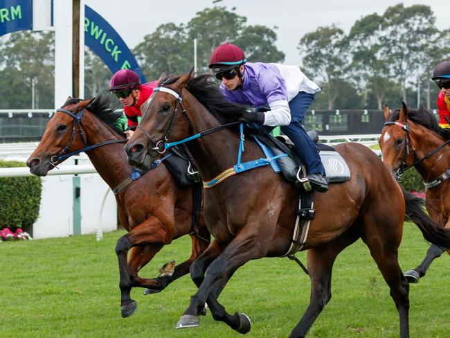 DAILY TELEGRAPH. Horse racing. Barrier trials at Warwick Farm. Race 3. Tiz Invincible, ridden by James McDonald (purple & white, centre), takes the win from Encap ridden by Jason Collett (far right, striped sleeves) and Just Fine ridden by Regan Bayliss (left, in red). 30/01/2024. Picture by Max Mason-Hubers