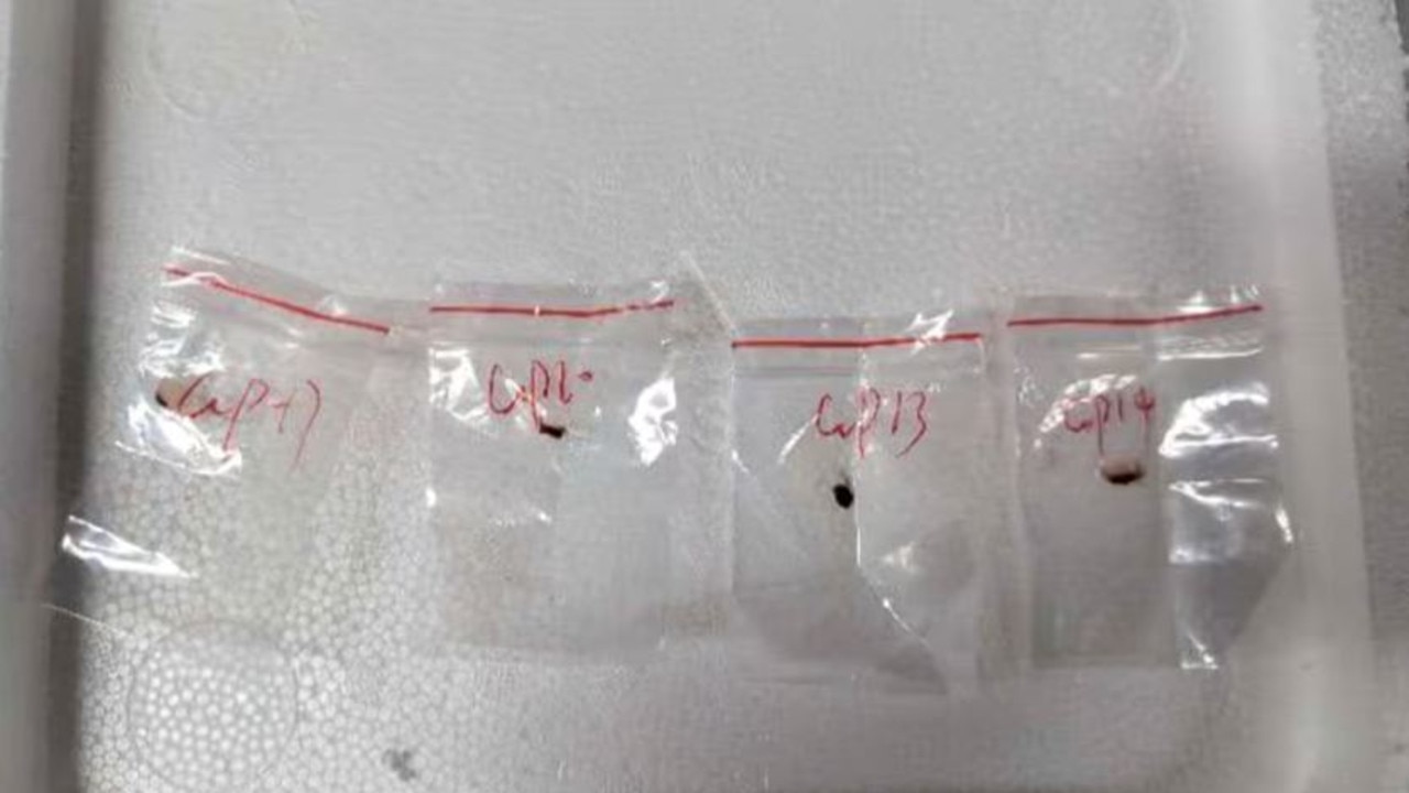 US stunned by discovery of four plastic bags